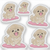 Tibetan Spaniel 5x Sticker (Voorkant)