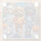 Tibetan Spaniel Dogs In Halloween Costumes Glazen Onderzetter (Achterkant)