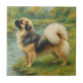 Tibetan Spaniel Tegeltje (Voorkant)