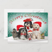 Tibetan Terrier Christmas With Friends Feestdagenkaart (Voorkant / Achterkant)