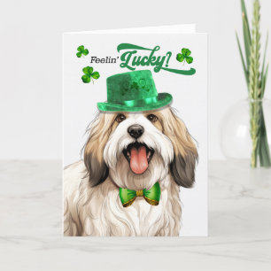 Tibetan Terrier Dog Feelin' Lucky St Patrick's Day Feestdagen Kaart