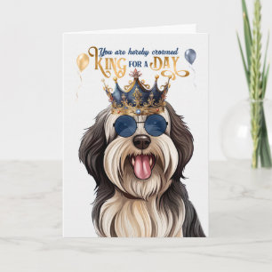 Tibetan Terrier Dog King voor een dag grappige ver Kaart
