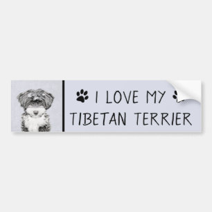 Tibetan Terrier Painting - Cute Original Dog Art Bumpersticker