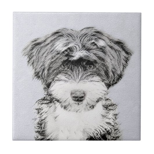 Tibetan Terrier Painting - Cute Original Dog Art Tegeltje (Voorkant)