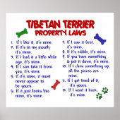 TIBETAN TERRIER PL2 POSTER (Voorkant)