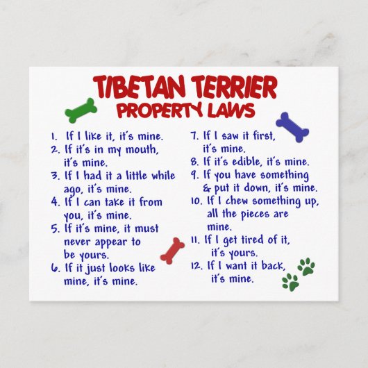 TIBETAN TERRIER Property Laws 2 Briefkaart (Voorkant)