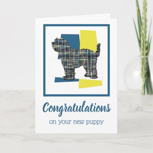 Tibetan Terrier Puppy Dog feliciteert de groet Kaart (Voorkant)