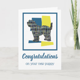 Tibetan Terrier Puppy Dog feliciteert de groet Kaart