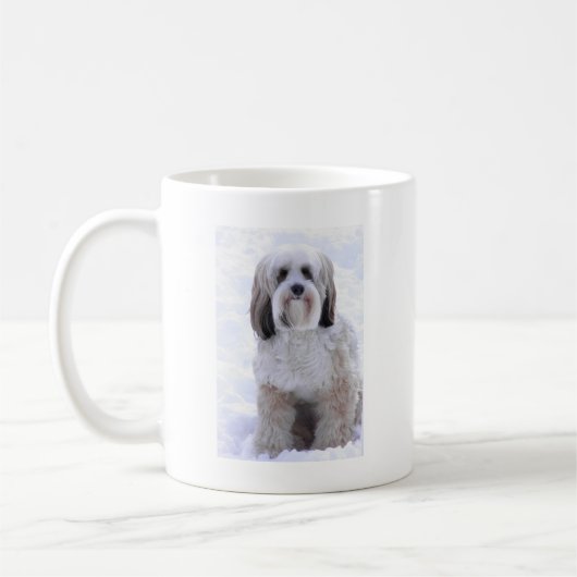 Tibetan Terrier Sable and White Koffiemok (Links)