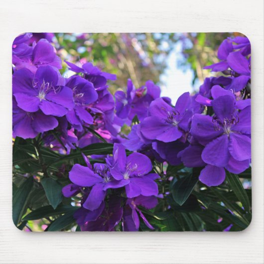 Tibouchina bloemen muismat (Voorkant)