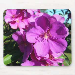 Tibouchina bloemen muismat
