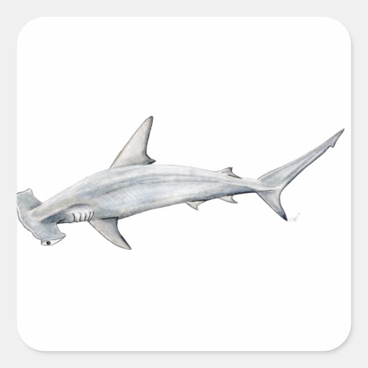Tiburon martillo - Hamerhaai Vierkante Sticker (Voorkant)