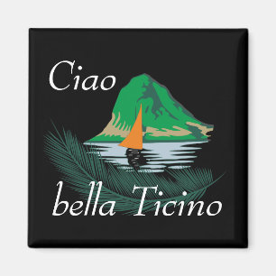 Ticino Svizzera/Tessin Schweiz Magnet