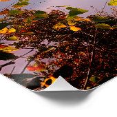 Ticino, Zwitserland: Uitzicht uit Monte Bre Perfect Poster (Hoek)