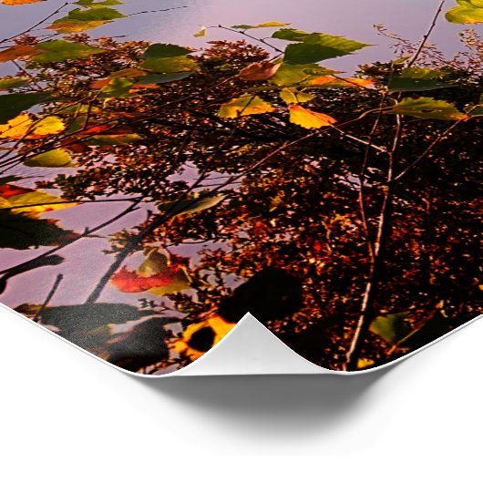 Ticino, Zwitserland: Uitzicht uit Monte Bre Perfect Poster (Hoek)