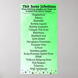 Tick Borne Infectielijst Lyme Awareness Poster