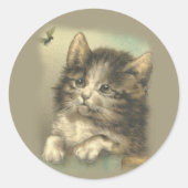  tickers, katten ronde sticker (Voorkant)