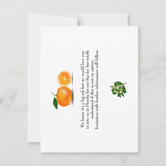 Ticket Boarding Pass Wedding Destination Florida Save The Date (Achterkant)