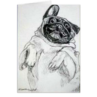 Tickle My Tummy, alsjeblieft