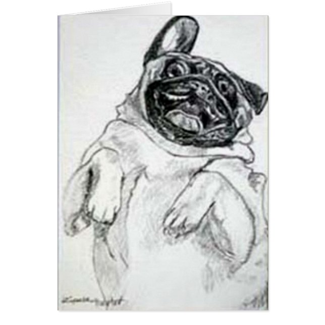 Tickle My Tummy, alsjeblieft (Voorkant)