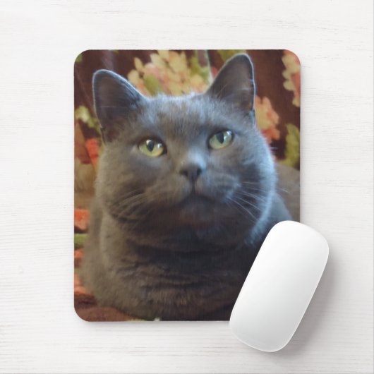 Tickles Muismat (Met muis)