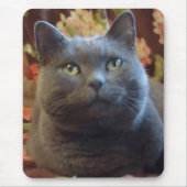 Tickles Muismat (Voorkant)