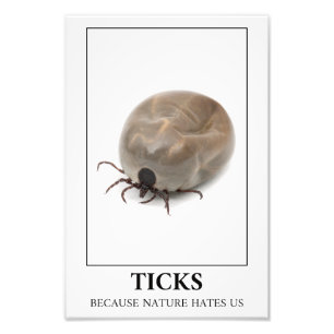 Ticks omdat Natuur ons haat - parasietenvun Foto Afdruk