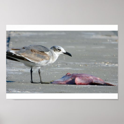 Tidal Buffet Poster (Voorkant)