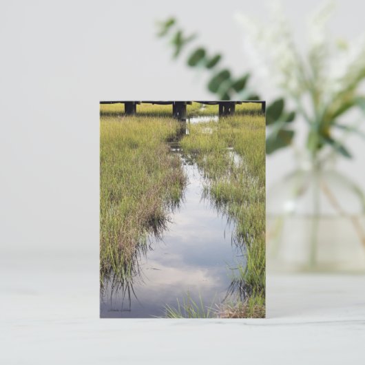 Tidal Creek Briefkaart (Staand voorkant)