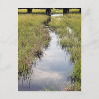 Tidal Creek Briefkaart