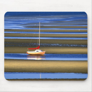 Tidal Flats, Cape Cod, MA Muismat