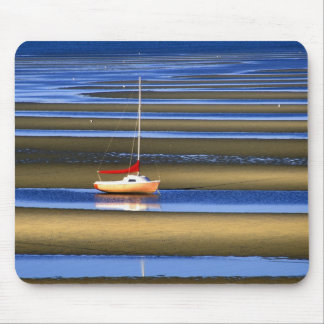 Tidal Flats, Cape Cod, MA Muismat