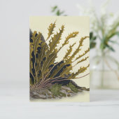 Tidal Fronds Bedankkaart (Staand voorkant)