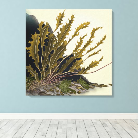 Tidal Fronds Canvas Afdruk (Insitu (Houten vloer))