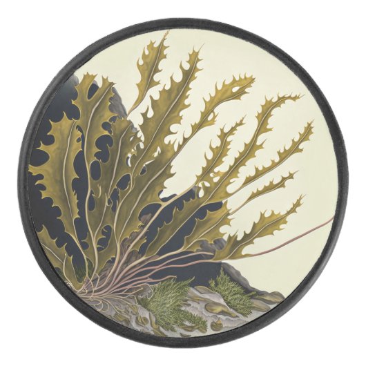 Tidal Fronds Hockey Puck (Voorkant)