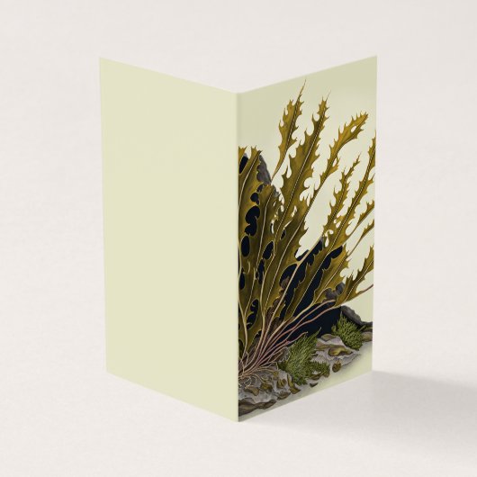 Tidal Fronds Kaart (Buitenkant)