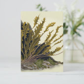 Tidal Fronds Kaart (Staand voorkant)