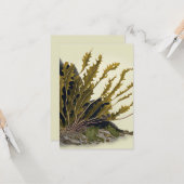 Tidal Fronds Kaart (Voorkant / Achterkant in situ)