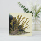 Tidal Fronds Kaart (Staand voorkant)