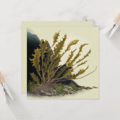 Tidal Fronds Kaart (Voorkant / Achterkant in situ)