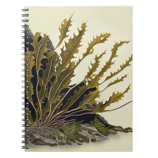 Tidal Fronds Notitieboek (Voorkant)