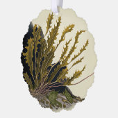 Tidal Fronds Ornament Kaart (Links)