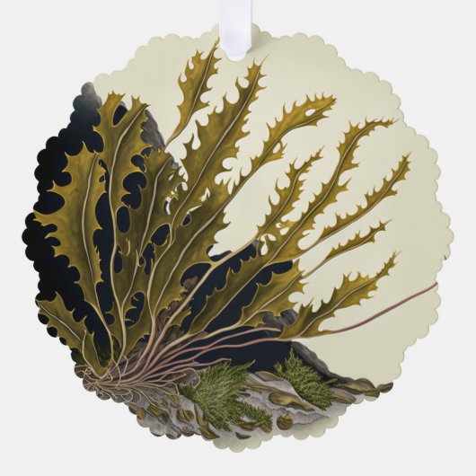 Tidal Fronds Ornament Kaart (Voorkant)