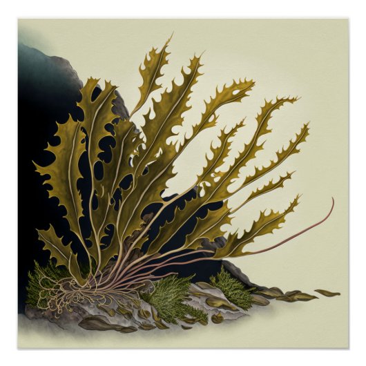 Tidal Fronds Perfect Poster (Voorkant)