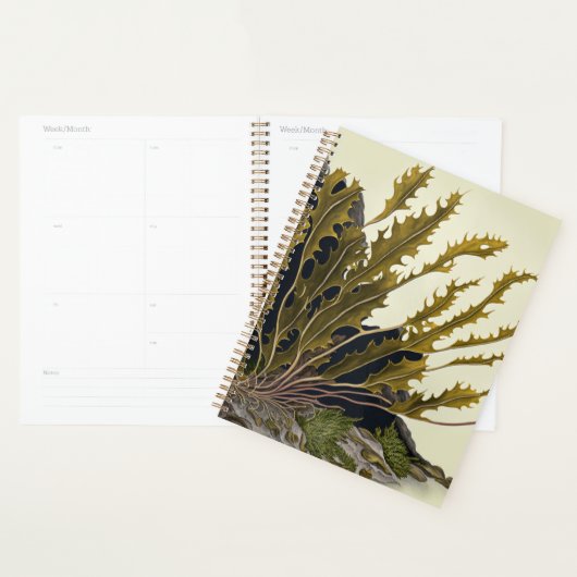 Tidal Fronds Planner (Display)