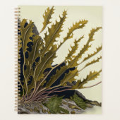 Tidal Fronds Planner (Voorkant)