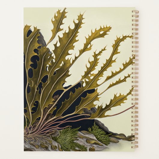 Tidal Fronds Planner (Achterkant)