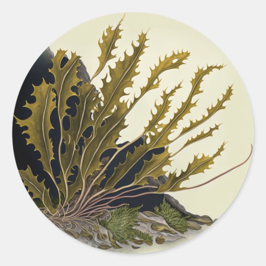 Tidal Fronds Ronde Sticker (Voorkant)
