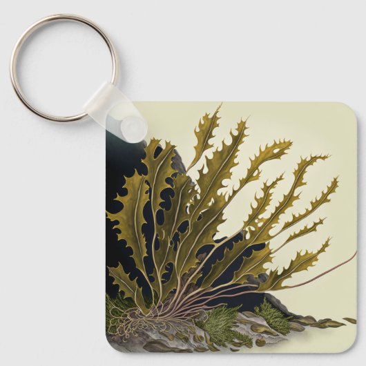 Tidal Fronds Sleutelhanger (Voorkant)