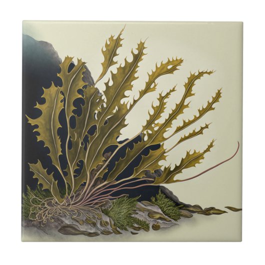 Tidal Fronds Tegeltje (Voorkant)